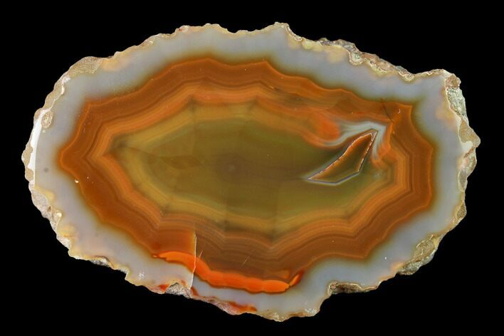 Colorful, Polished Condor Agate Section - Argentina #145534
